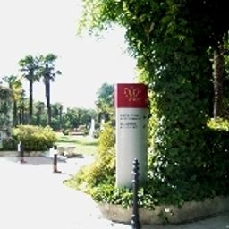 Jardin Royal Garden Fotos