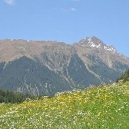 Panorama Feldrand Fotos