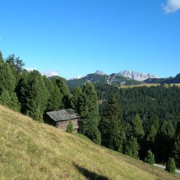  Feldrand Fotos