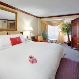 Suite Crowne Plaza ALBANY-CITY CENTER Fotos