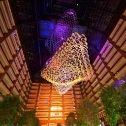 Hala Hilton Anatole Fotos