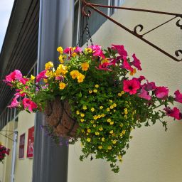 Магазин Corrib Village Fotos