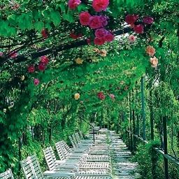 Jardin Leonardo da Vinci Prices All Inclusive Fotos
