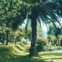 Jardin Leonardo da Vinci Prices All Inclusive Fotos