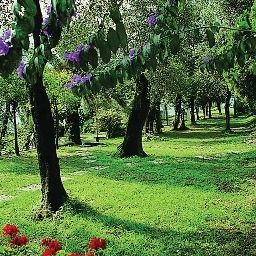 Jardin Leonardo da Vinci Prices All Inclusive Fotos