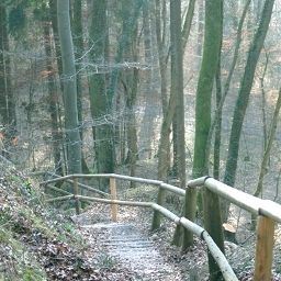 Umgebung Buchenhain Waldgasthof Fotos