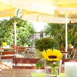 Terrasse Welcome Fotos