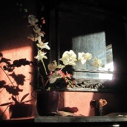 Hall Schatzmann Fotos