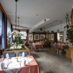 Schäfer Fotos