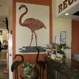 Reception Flamingo Beach Fotos