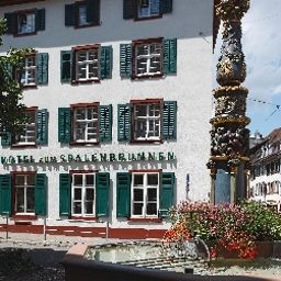  Spalenbrunnen Fotos