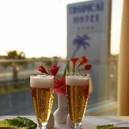 Restaurant Tropical Fotos