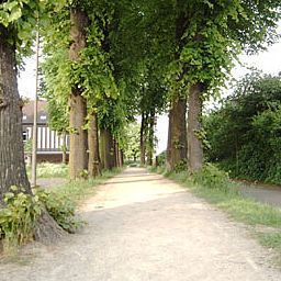 Сад Orsoyer Hof Fotos