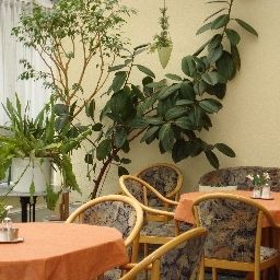 Sala de desayuno Regina Pension Fotos