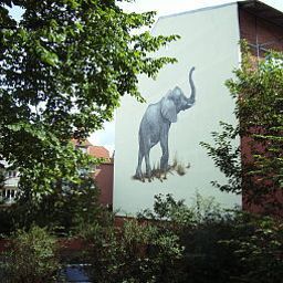 Terrasse Elefant Fotos