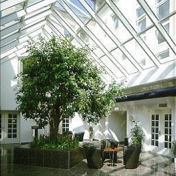 Hall Baumwiese Landidyll Fotos