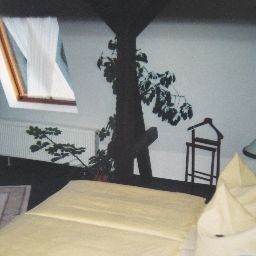  Wippertal Fotos