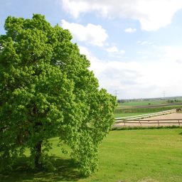 Jardin Parsberg Fotos