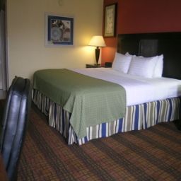 Zimmer Holiday Inn RICHMOND-I-64 WEST END Fotos