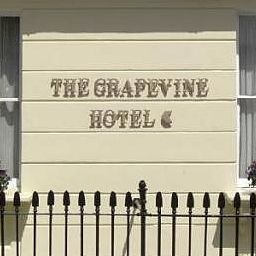  Grapevine Fotos