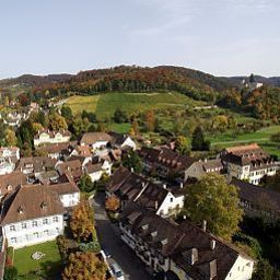 View Ochsen Fotos