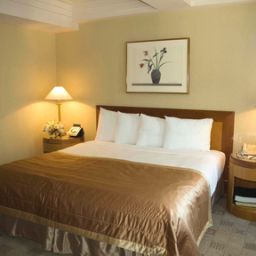 Номер Kitano New York Hotel Fotos