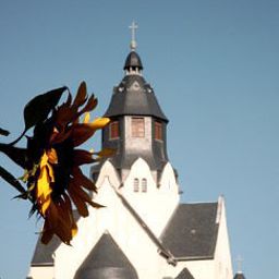 Ausblick Rosenhof Landhotel Fotos
