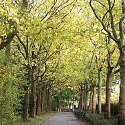 Jardín Alte Feuerwache Fotos