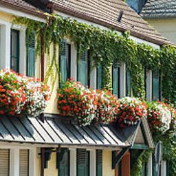 Zertifikat Alte Scheune Landhaus Fotos