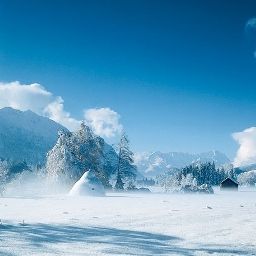  Forsthaus Fotos