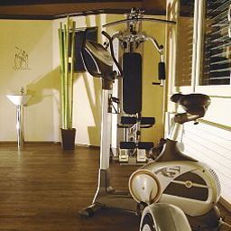 Sala fitness Storchen Best Western Fotos