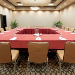 Sala konferencyjna Crowne Plaza SAN ANTONIO AIRPORT Fotos