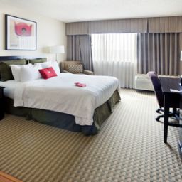 Pokój Crowne Plaza SAN ANTONIO AIRPORT Fotos