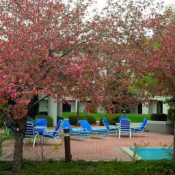  DoubleTree by Hilton Colorado Springs Fotos