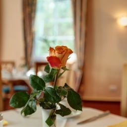  Landhotel Potsdam Fotos