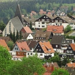  relexa Harz-Wald Fotos