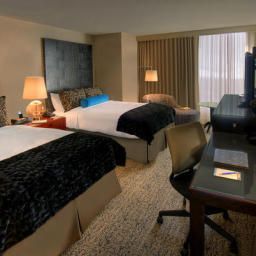 Pokój PALOMAR LA  KIMPTON HTL Fotos