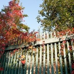Jardín Villa Sorgenfrei Fotos