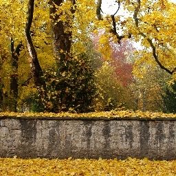 Вид Fürstenhof am Bauhaus Fotos