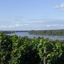 Vista esterna Best Western Wein - und Parkhotel Fotos