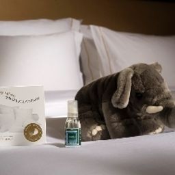  Slon Best Western Premier Fotos