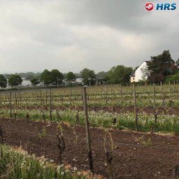 Vue extérieure Ruthmann-Rheinblick Fotos