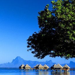 Außenansicht Le Meridien Tahiti Fotos