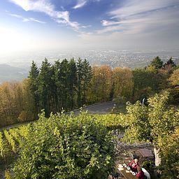 Vue Burg Windeck Fotos