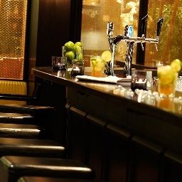 Bar Renaissance Zürich Airport Hotel Fotos