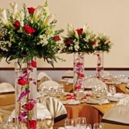 Salle de banquets Radisson San Jose-Costa Rica Fotos