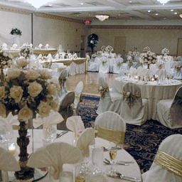 Sala de banquetes Radisson Hotel Orlando - UCF Fotos