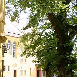 Фасад Schloss Neuburg Fotos