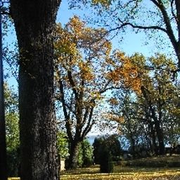 Jardin Noma Residence Zameczek Mysliwski Promnice Fotos