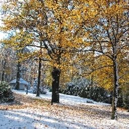 Jardin Noma Residence Zameczek Mysliwski Promnice Fotos